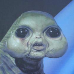 OrdinaryAlien profile picture