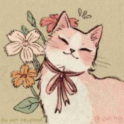 samidot profile picture