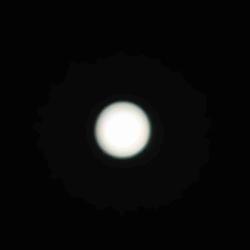 jovialMoon2495 profile picture