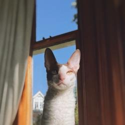 MrRoboticWrites profile picture