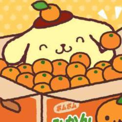 modorange07 profile picture
