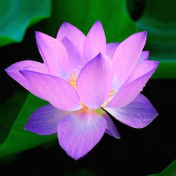 UdiaysamkindEars995 profile picture