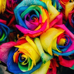 comfortingRose2397 profile picture