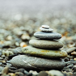 User Profile: CompassionCompass