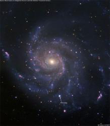 Nova32 profile picture
