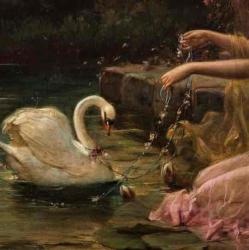 SwanOfAges profile picture
