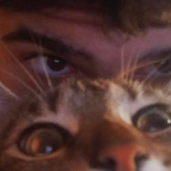bazinga22 profile picture