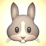 laurabunny profile picture