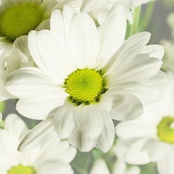 yourlifematters356 profile picture