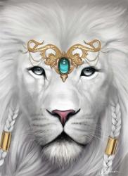 Sher217 profile picture