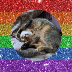 EmotionsListener profile picture
