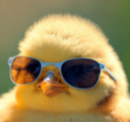 impartialSea3098 profile picture
